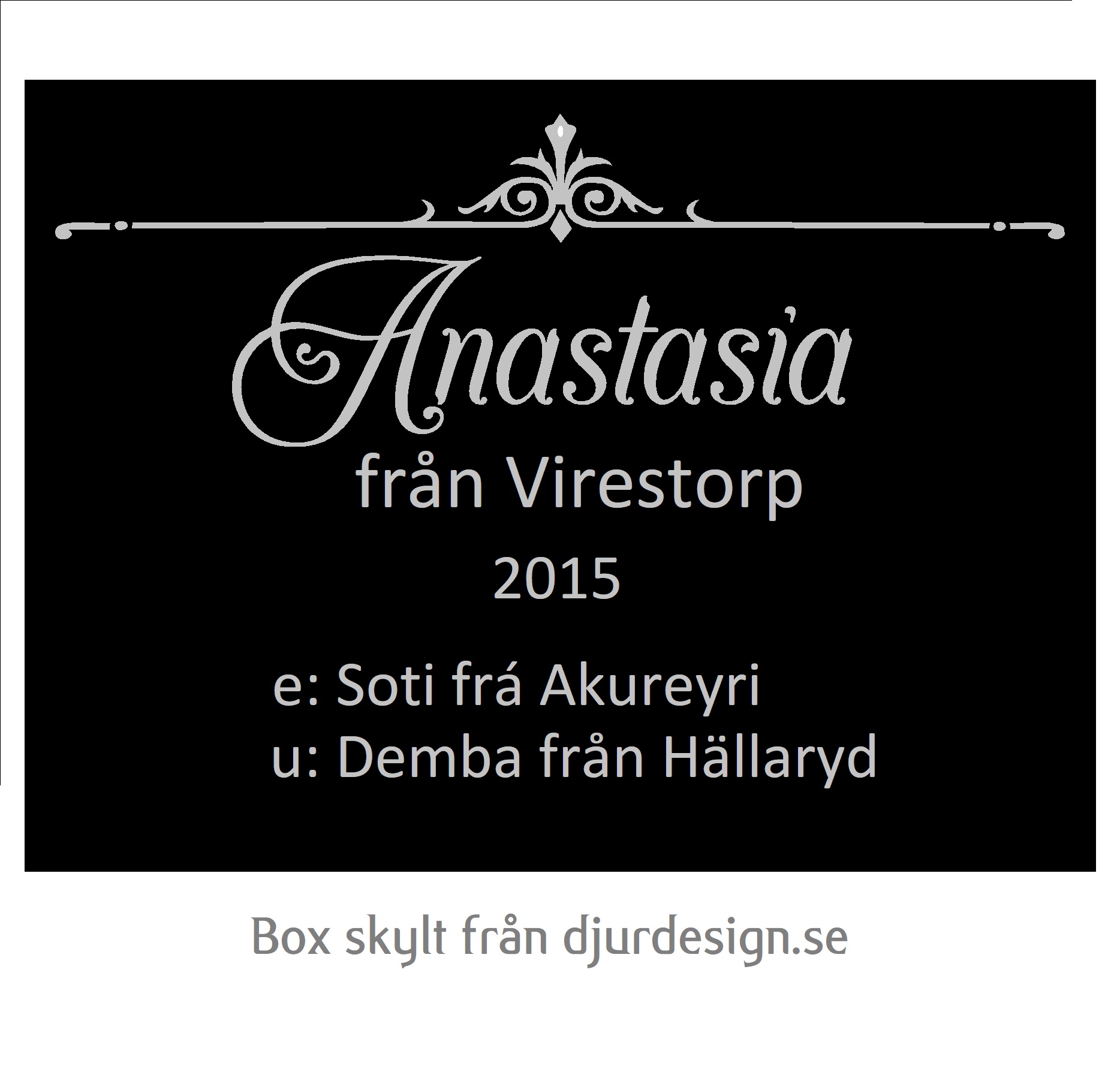 Nr 52 Boxslylt för islandshästar med text & slainga