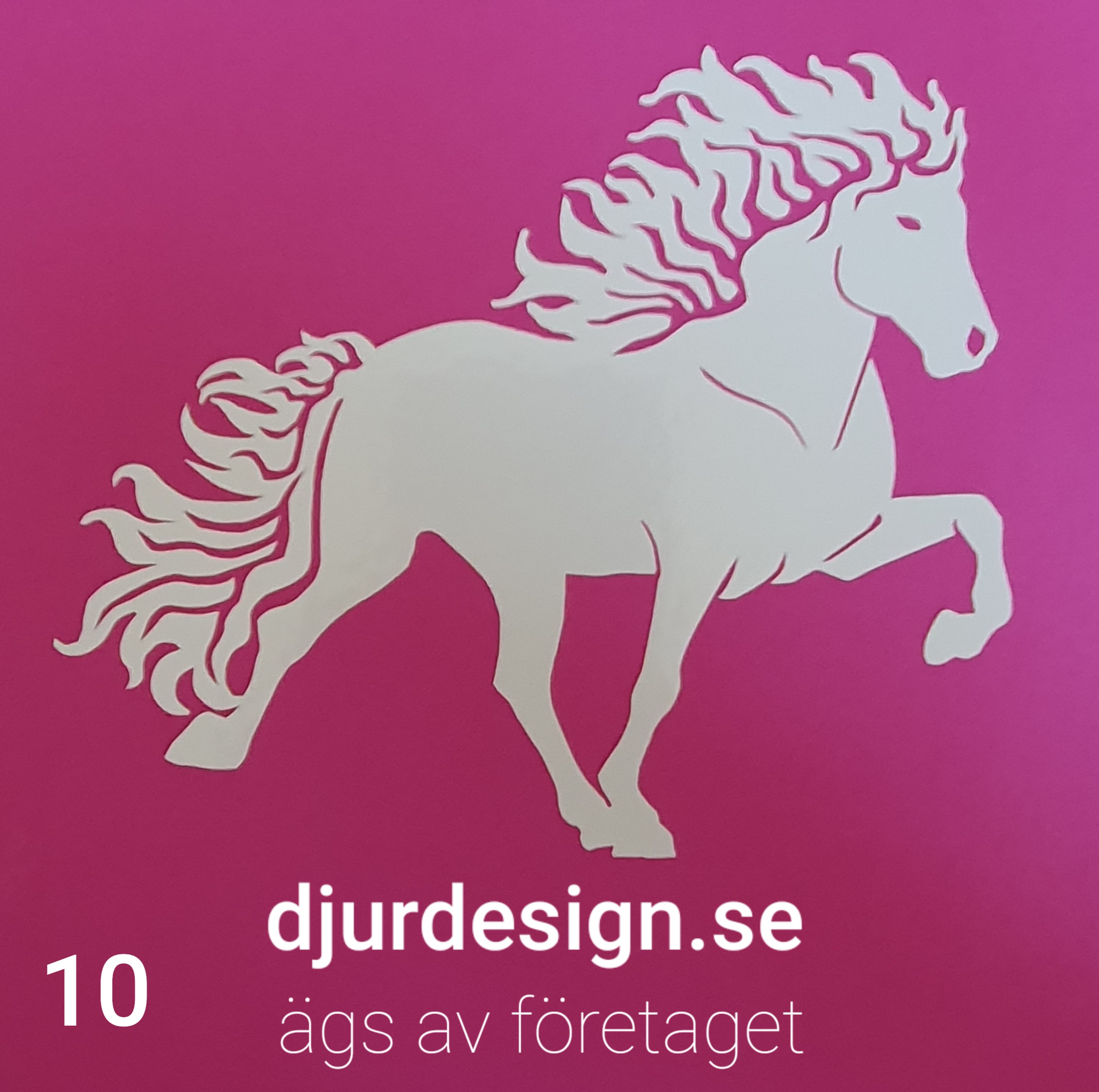 Nr 10  Islandshäst 11 storlekar & 20 färger klisterdekal - 2