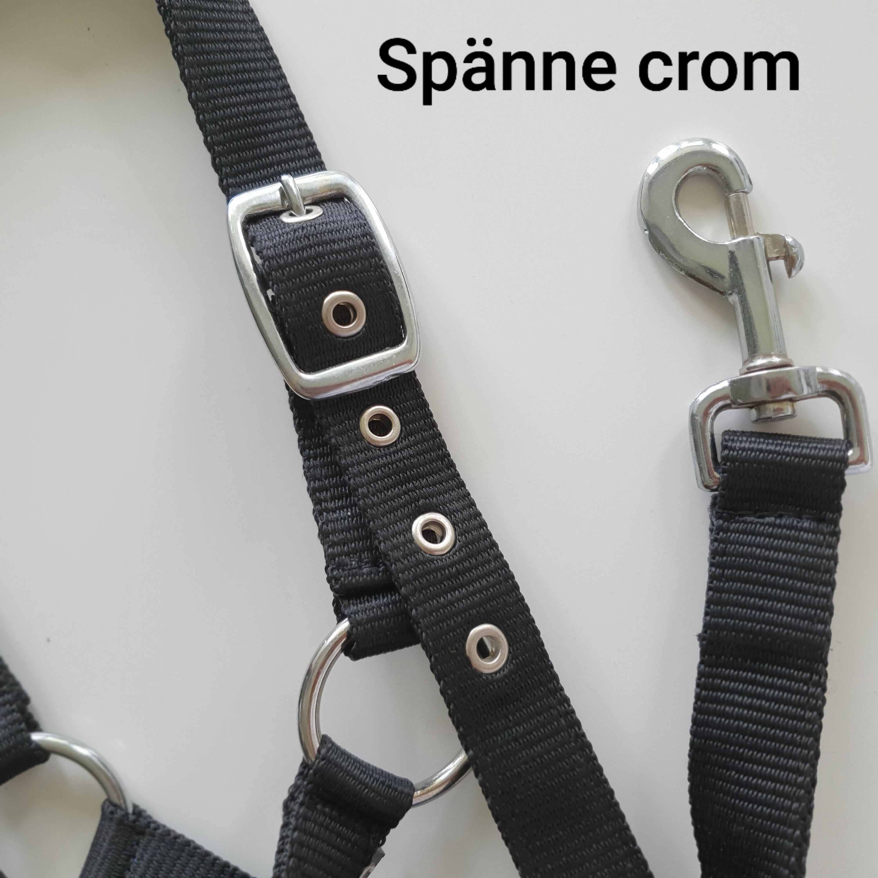 K  Grimma brodyr Spänne Crome