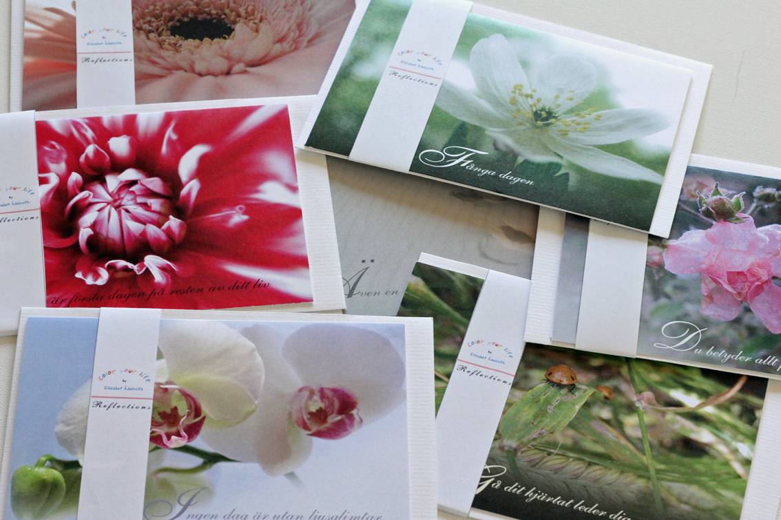 fotokort - 7 motiv i presentpaket - 2