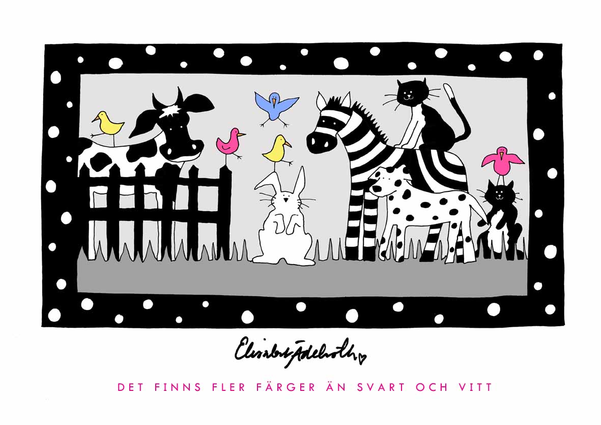 Det finns fler färger än svart och vitt - 2