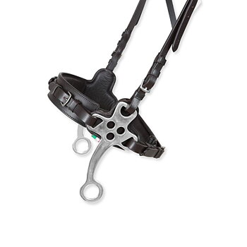 Träns Hackamore