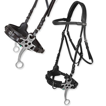 Träns Hackamore