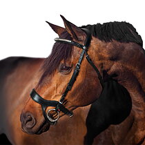 Engelskt