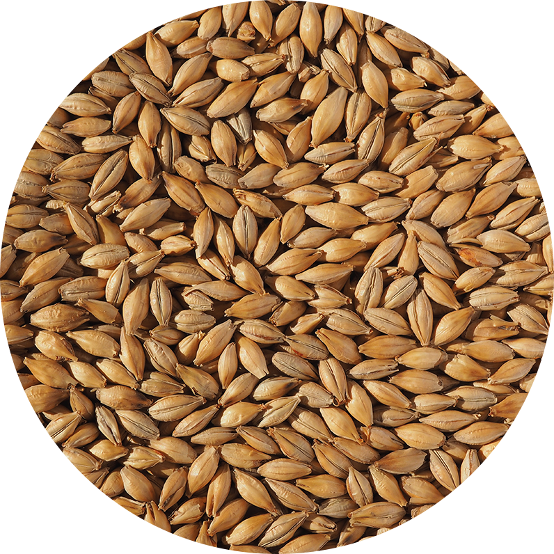 Extra Pale Maris Otter Malt (Crisp), hel, pall 40x25 kg - 2