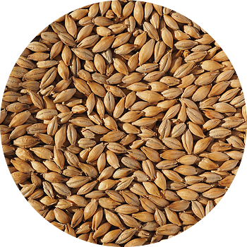 Extra Pale Maris Otter Malt Crisp, hel malt, pall 40x25 kg
