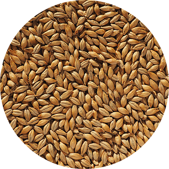 Maris Otter Ale Malt Crisp, hel malt, pall 40x25 kg