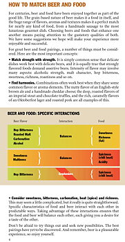 American Craft Beer and Food Guide
