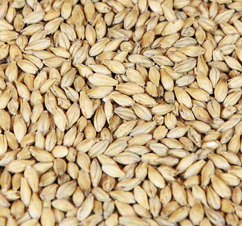 Barke® pilsnermalt (Weyermann®), hel, 25 kg