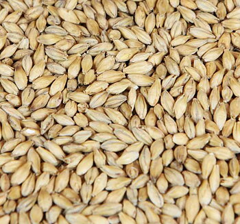 Barke® wienermalt (Weyermann®), hel, 25 kg