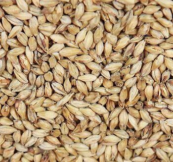 Barke® münchnermalt (Weyermann®), hel, 25 kg