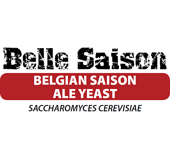 Belle Saison Lallemand 500 g