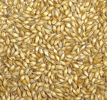Organic Balder Pilsner Malt (Warbro), whole, 1 kg