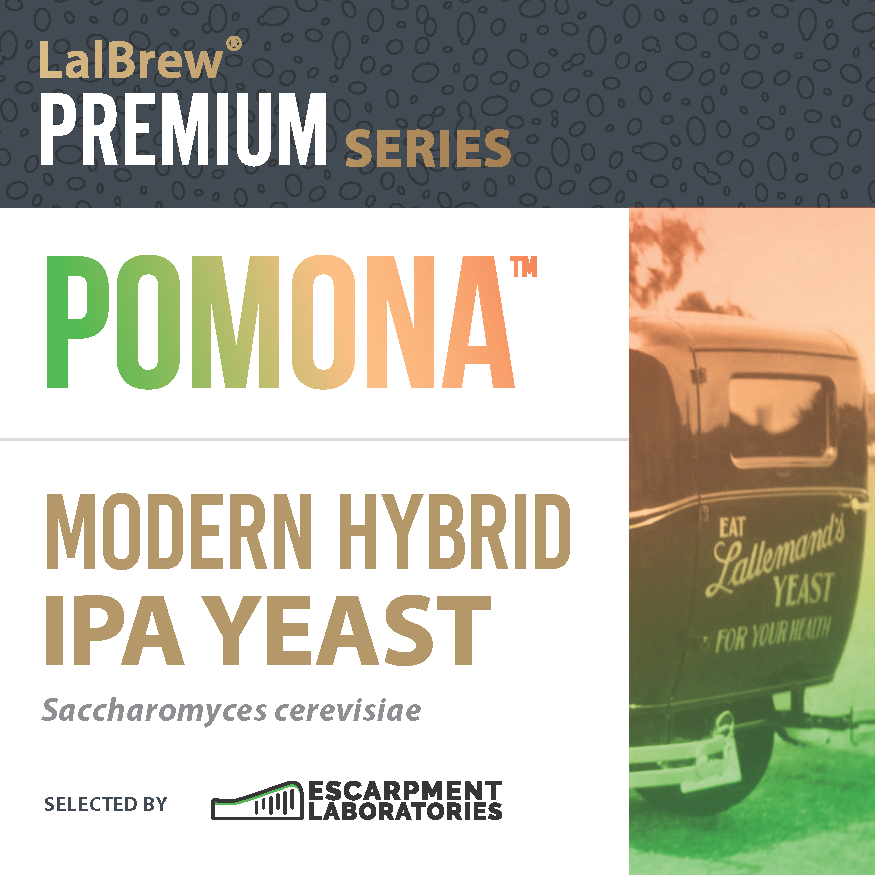 Pomona (Lallemand) 11 g - 2