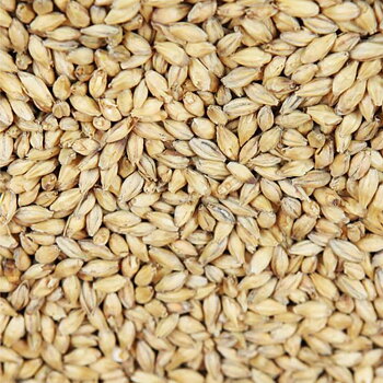 Eraclea pilsnermalt (Weyermann®), hel, 1 kg
