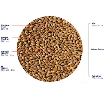 Maris Otter Ale Malt Crisp, hel malt, 1 kg