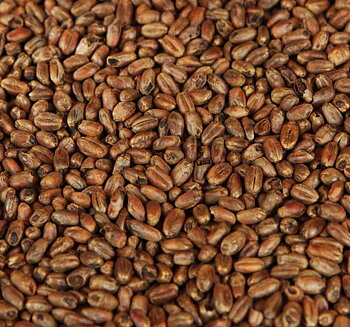 Carawheat® (Weyermann®), hel, 25 kg