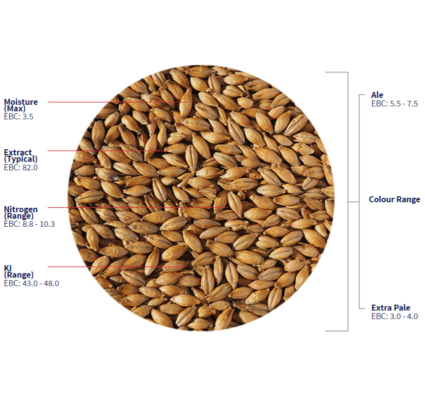 Best Ale Malt Crisp, hel malt, 1 kg - 3
