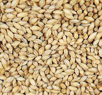 gulvmaltet bøhmisk pilsnermalt (Weyermann®), hel, 1 kg