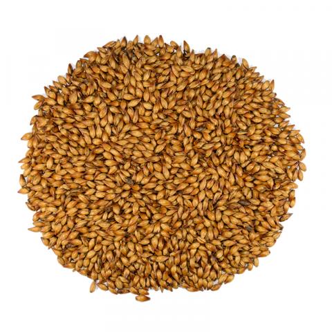 Special B Dingemans, hel malt, 25 kg, REA