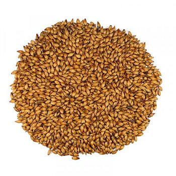 Special B Dingemans, hel malt, 25 kg, REA