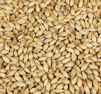 bøgerøget bygmalt (Weyermann®), hel, 25 kg