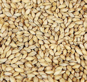 Pale ale malt Weyermann®, hel malt, pall 33x25 kg