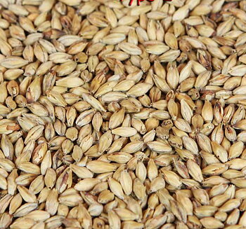 Munich Malt 2 (Weyermann®), hel, 1 kg