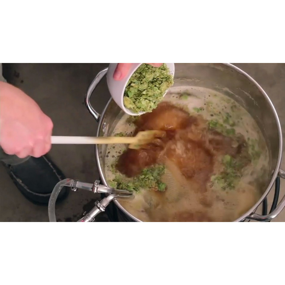Brewing Great Beer Start to Finish DVD - 4