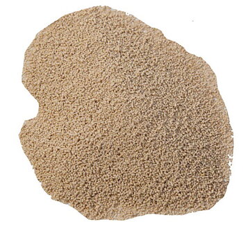 Lalvin EC-1118, 125 g