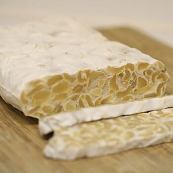 tempeh starter 10 g