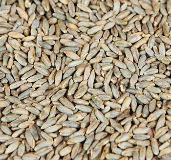 Rye Malt - pale (Weyermann®), whole, 25 kg