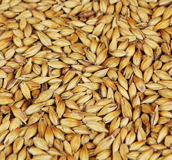 Carahell® Weyermann®, hel malt, 25 kg