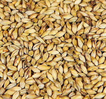 Caramünch® 3  (Weyermann®), hel, 25 kg