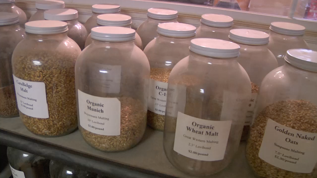 Make the Most of Your Malt Extract Kit DVD - 6