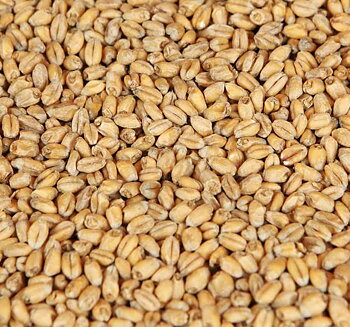 Oak Smoked Wheat Malt (Weyermann®), whole, 25 kg