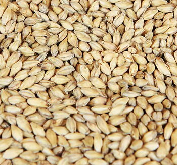 syremalt (Weyermann®), hel, 25 kg