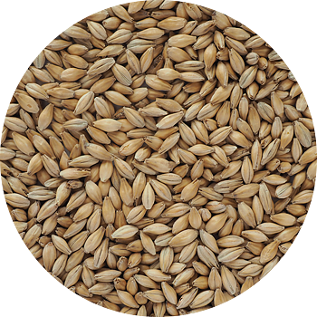 Chevallier Heritage Malt (Crisp), whole, 25 kg