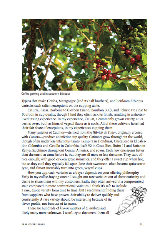 Dear Coffee Buyer - 3
