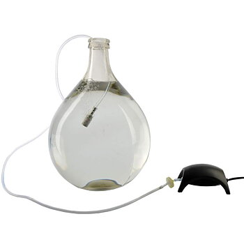 Wort aerator set