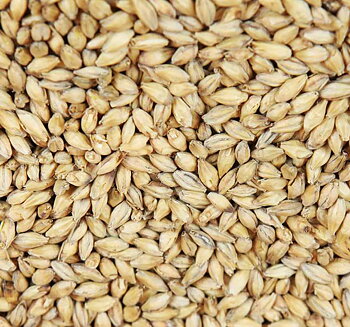 pale ale malt (Weyermann®), hel, 1 kg