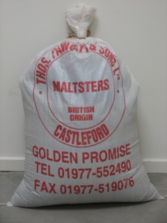 Golden Promise pale ale malt (Thomas Fawcett), hel, 25 kg - 2