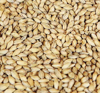 Certified organic Pilsner Malt (Weyermann®), whole, 1 kg