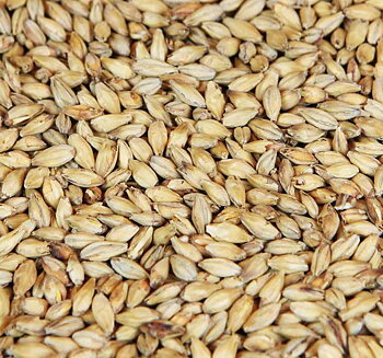 Certified organic Munich Malt (Weyermann®), whole, 1 kg