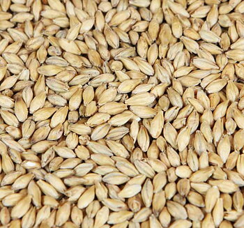 wienermalt (Weyermann®), hel, 25 kg