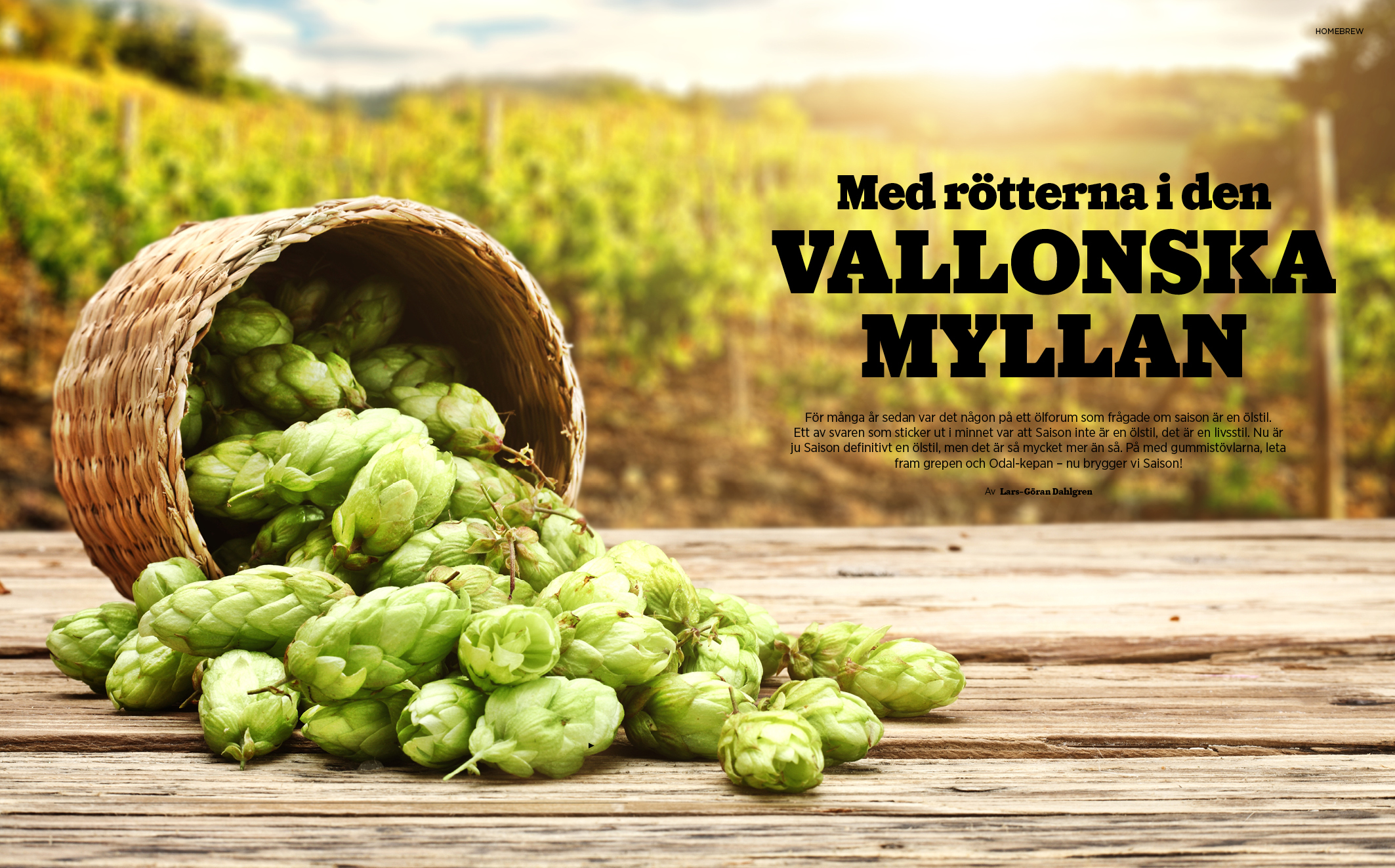 ℅ HOPS #19 – Sommar 2017 - 2