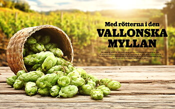 ℅ HOPS #19 – Sommar 2017