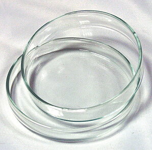 Petri dish, glass