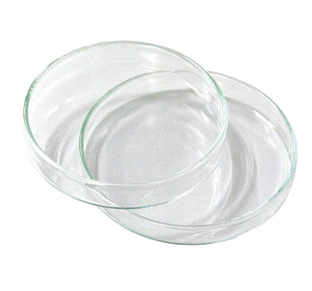 Petri dish, glass