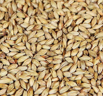 melanoidinmalt (Weyermann®), hel, 25 kg